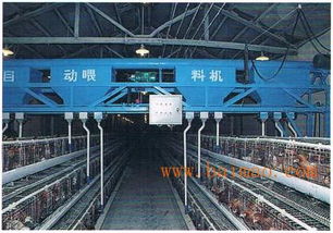 青州市宇伟机械加工厂批发供应柴油叉车,内燃式叉车,电动升高车,半自动升高车